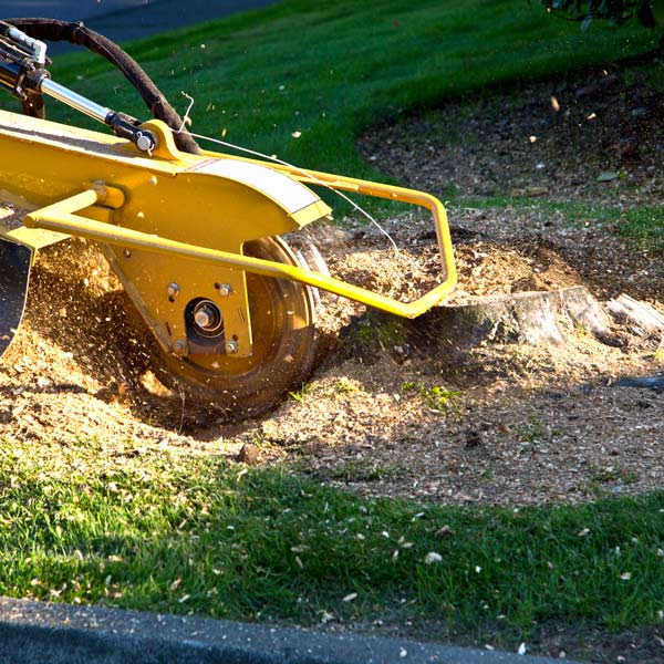 stump grinder